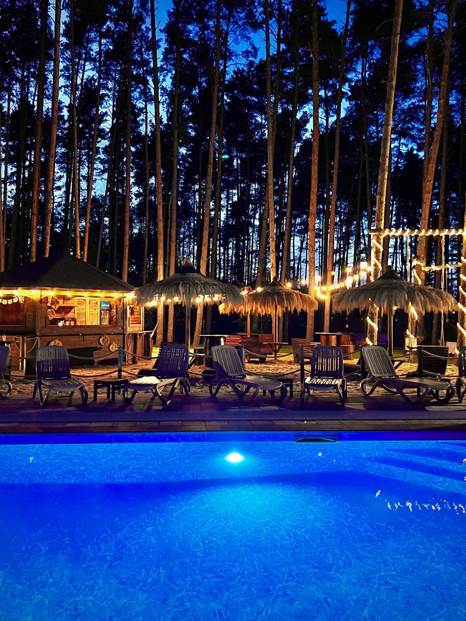 Bed and Breakfast Lesne Ustronie Lubiszewo Exterior foto
